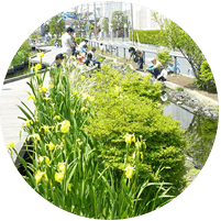 江川せせらぎ遊歩道